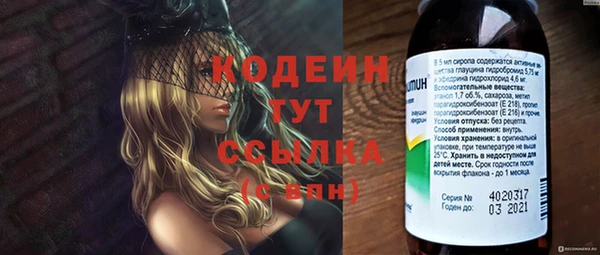 ПСИЛОЦИБИНОВЫЕ ГРИБЫ Белокуриха
