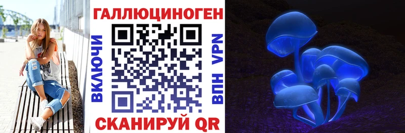Галлюциногенные грибы Psilocybine cubensis  Будённовск 